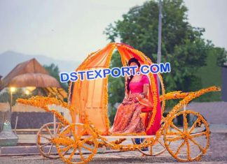 Bollywood Wedding Dulhan Carriage Doli