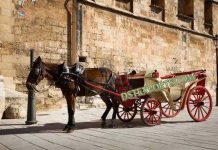 Wedding Red Victoria Carriage For Supplier
