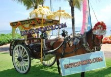 Indian Wedding Decorative Carriage