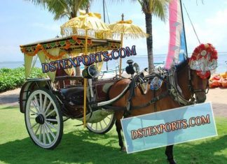 Indian Wedding Decorative Carriage