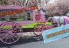 Pinkish Funeral Horse Carriage