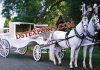 HARNESS FOR HORSE CARRIAGES