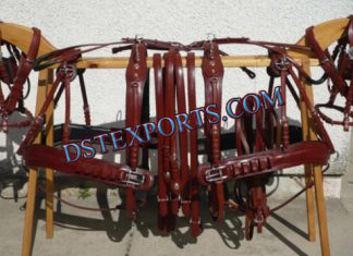 LEATHER HARNESS