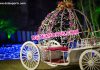 Beautiful Bride and Groom Carriage
