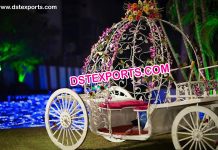 Beautiful Bride and Groom Carriage