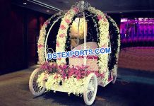 Best Wedding Bride and Groom Entrance Buggy