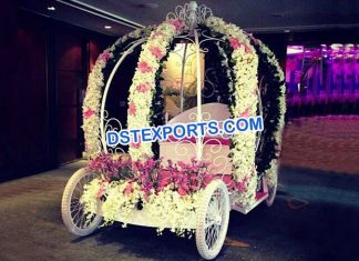 Best Wedding Bride and Groom Entrance Buggy