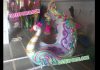 Indian Wedding Peacock Doli/Palki for Bridal Indian Wedding Peacock Doli/Palki for Bridal