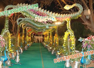 Peacock Stylish Walkway and Welcome Gate Peacock stylish walkway and welcome gate