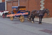 Stylish Victoria Touring Horse Buggy Vehical Stylish Victoria Touring Horse Buggy Vehical
