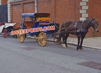 Stylish Victoria Touring Horse Buggy Vehical Stylish Victoria Touring Horse Buggy Vehical