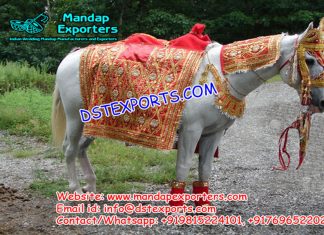 Indian Wedding Decorated Horse Wears Indian Wedding Decorated Horse Wears