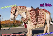 Latest Designed Wedding Horse Costumes Decoration Latest Designed Wedding Horse Costumes Decoration
