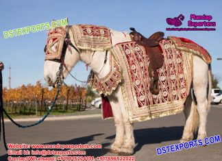 Latest Designed Wedding Horse Costumes Decoration Latest Designed Wedding Horse Costumes Decoration