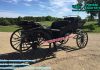 Victorian Style Black Horse Carriage Victorian Style Black Horse Carriage
