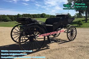 Victorian Style Black Horse Carriage