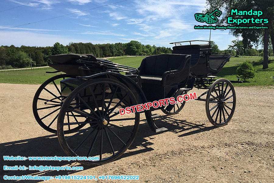 Victorian Style Black Horse Carriage