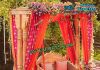 Double Pole Swing for Out Door Wedding Double Pole Swing for Out Door Wedding