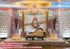 Beautiful Wedding Leather Tufted Panel Stage Beautiful Wedding Leather Tufted Panel Stage