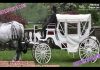 Wedding White Victorian Horse Carriage Wedding White Victorian Horse Carriage