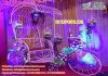 Latest Mini Buggy for Bridal Entry Latest Mini Buggy for Bridal Entry
