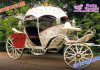 Luxurious Princess Wedding Cinderella Carriage/Buggy Luxurious Princess Wedding Cinderella Carriage Buggy