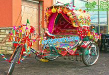 Best Wedding Bridal Entry Rickshaw
