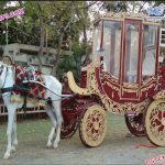 Emperor Style Air Condition Horse Drawn Carriage