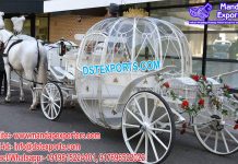 Princess Pumpkin Style Cinderella Horse Carriages
