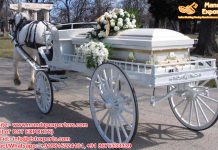 Victoria White Funeral Horse Carriage