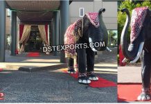 Royal Wedding Elephant Sculpture for Entrance