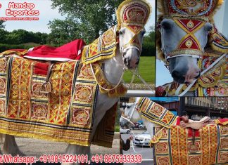 Wedding Embroidered Horse Costume Manufacturer
