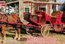 Exclusive Horse Drawn Vis a Vis Carriage