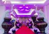 Indian Wedding Aisle Decor Peacock Statues