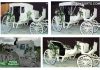 Stylish Tourist Victorian White Horse Carriage