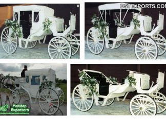 Stylish Tourist Victorian White Horse Carriage