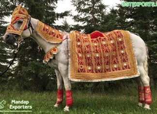 Embroidered Red Costume For Wedding Horse