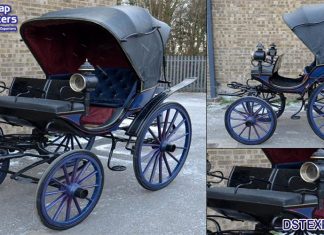 Royal Barouche Touring Horse Drawn Carriage
