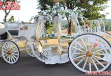 Australian Princess Wedding Cinderella Chariot
