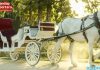 Princess Wedding Royal Horse Carriage