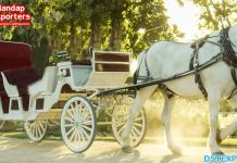 Princess Wedding Royal Horse Carriage