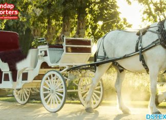 Princess Wedding Royal Horse Carriage