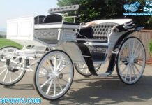 Victorian Touring White Horse Carriage