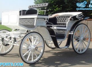 Victorian Touring White Horse Carriage