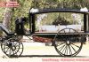 Vintage Black Coffin Horse Carriage