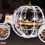 cinderella pumpkin
