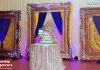 Luxury Wedding & Party Backdrop Photo Panels