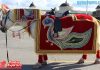 Amazing Groom Entry Wedding Horse Costume