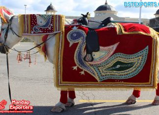 Amazing Groom Entry Wedding Horse Costume
