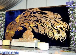 Embroidered Peacock Theme Wedding Backdrop & Drapes
